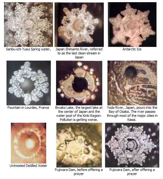 masaru emoto water cystals evidence